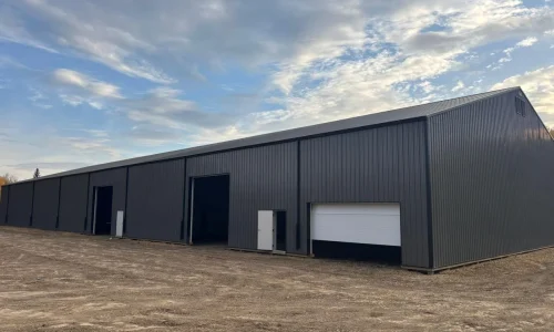 WhatsApp Image 2026-02-10 at 2.55.10 PM (4)